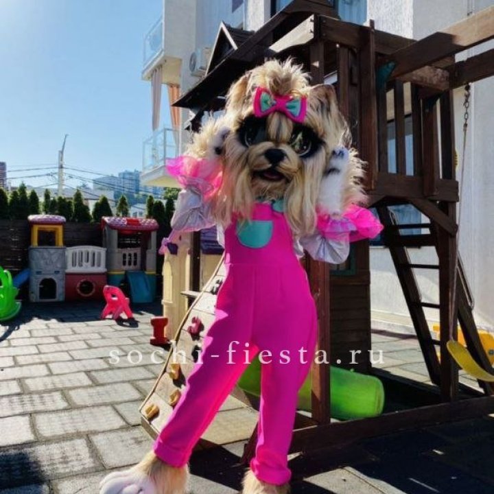 Аниматор Гламурная Собака в Сыктывкаре