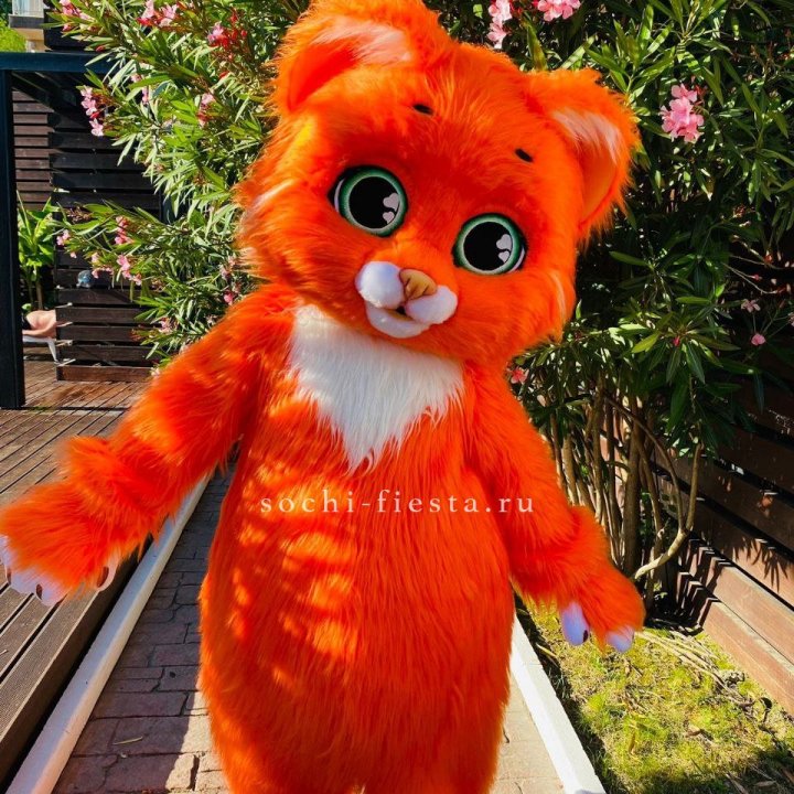 Аниматор Котик в Сыктывкаре