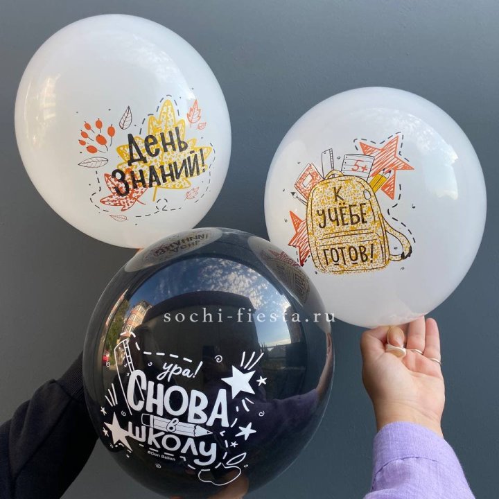 Воздушный шар к 1 сентября в Сыктывкаре