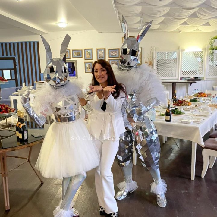 Аниматор Зеркальный заяц в Сыктывкаре