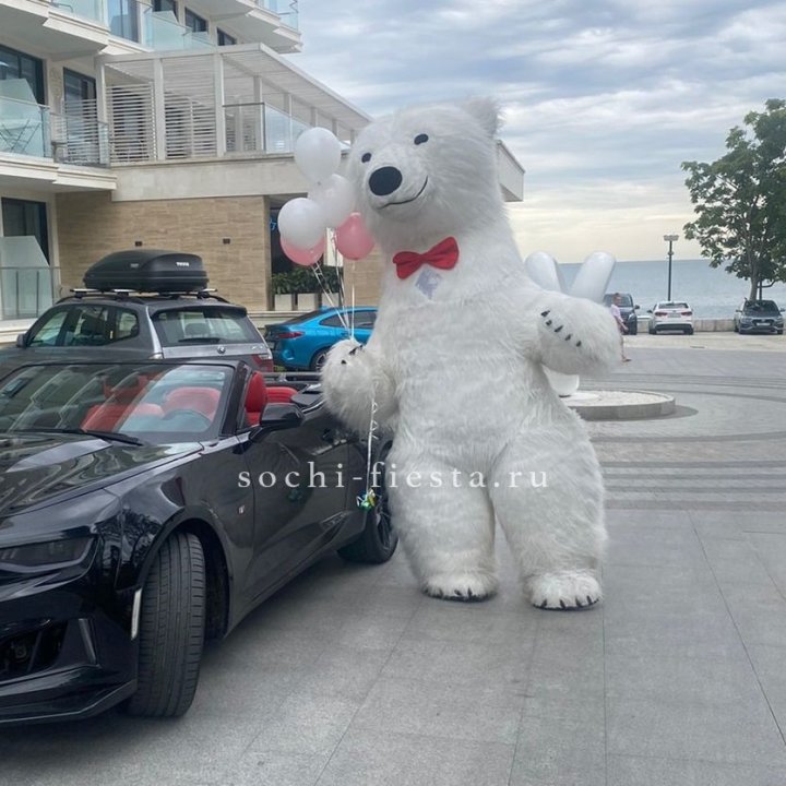 Аниматор Белый Медведь в Сыктывкаре