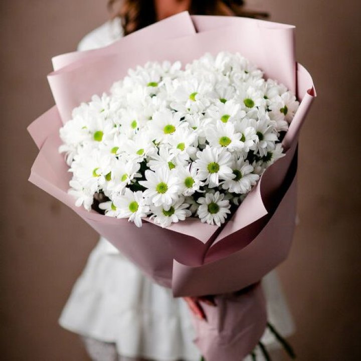 Букет хризантем №2 в Сыктывкаре