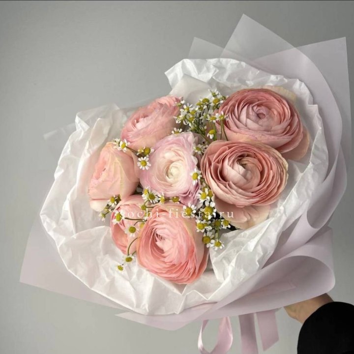 Ранункулюсы с ромашками в Сыктывкаре