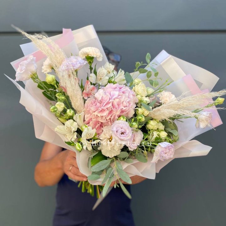 Гортензия "Пинк флоид" в Сыктывкаре