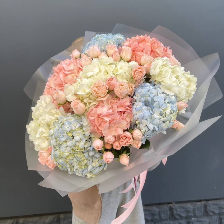 Дуо гортензии и бомбастик в Сыктывкаре