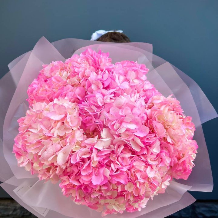 9 ярко розовых гортензий в Сыктывкаре