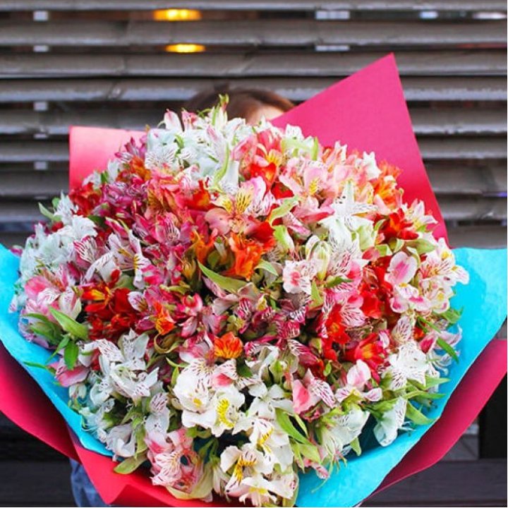 101 альстромерия в Сыктывкаре