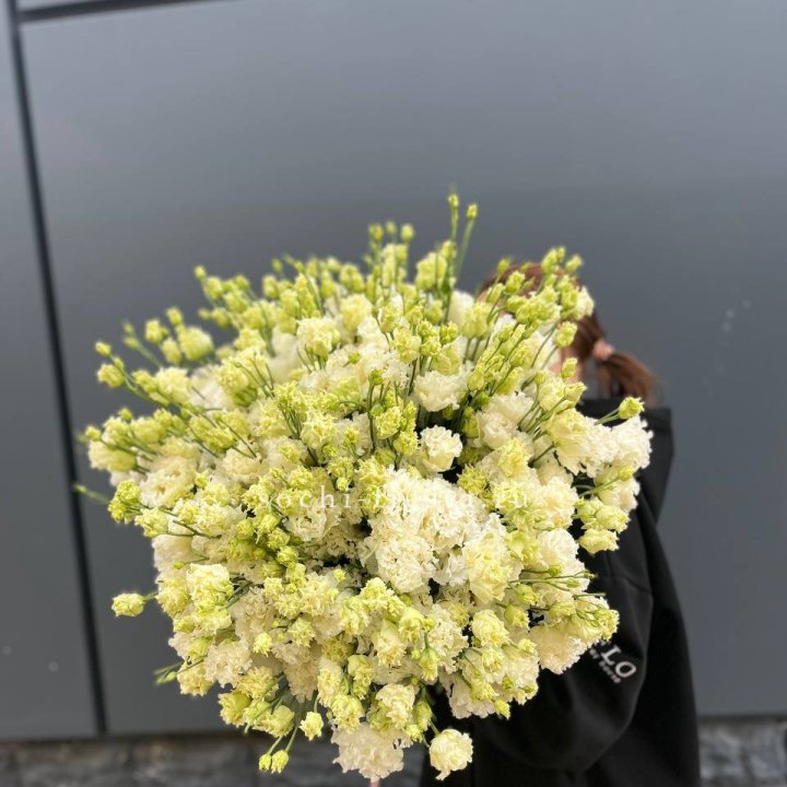 51 белая эустома в Сыктывкаре