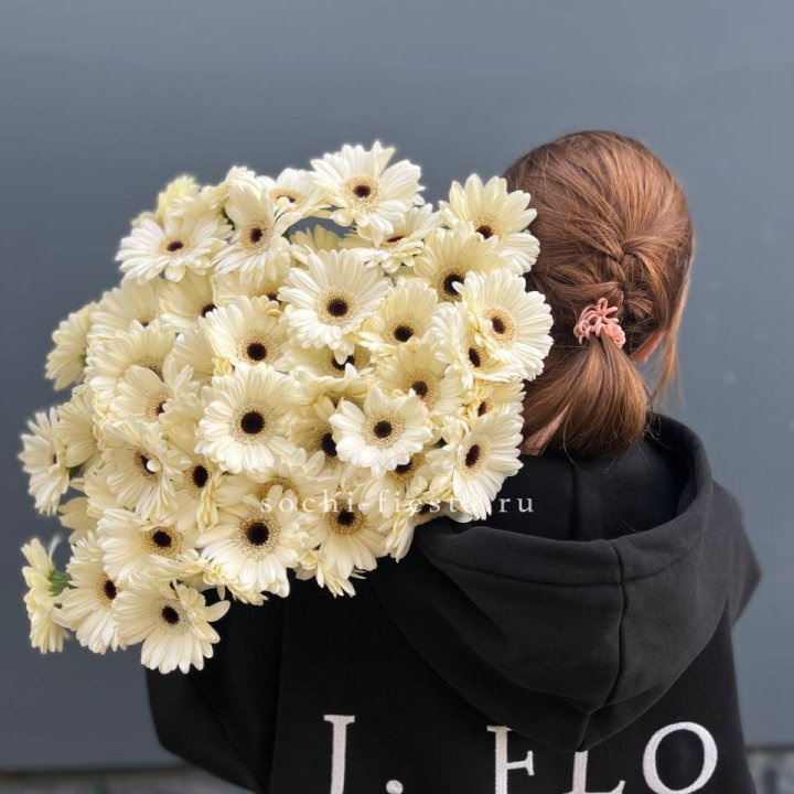 51 гербера в Сыктывкаре