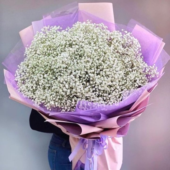 Облако белых гипсофил в Сыктывкаре