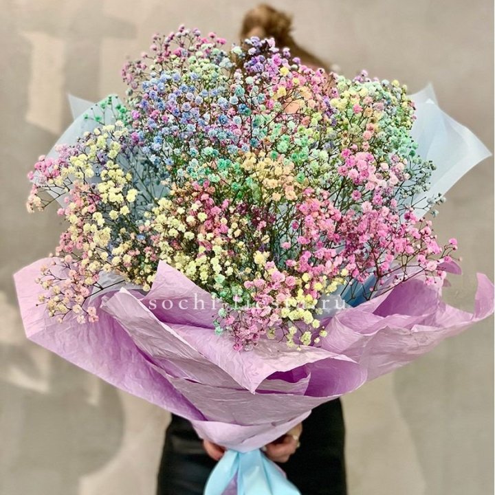 Радужные гипсофилы №2 в Сыктывкаре