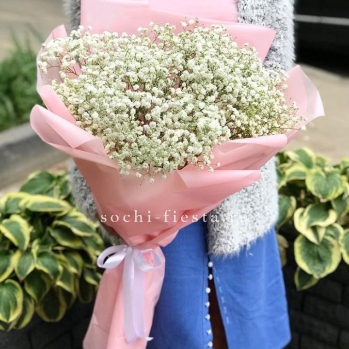 Белоснежные гипсофилы в Сыктывкаре