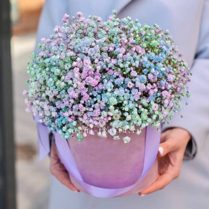 Гипсофилы в шляпной коробке "Кандилайт" в Сыктывкаре