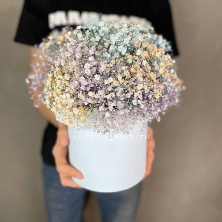 9 Радужных гипсофил в шляпной коробке в Сыктывкаре