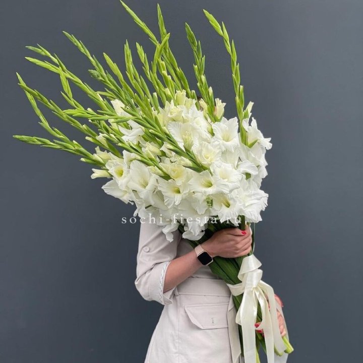 19 белых гладиолусов под ленту в Сыктывкаре