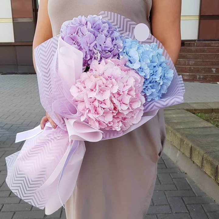 Букет гортензий "Пуф" в Сыктывкаре