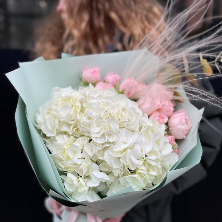 Гортензия "Жасмин" в Сыктывкаре