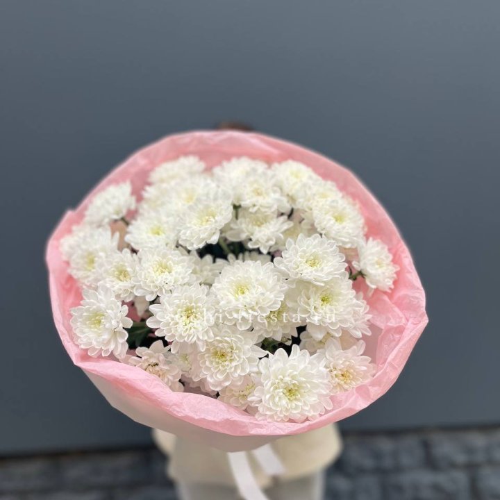  5 хризантем  в Сыктывкаре