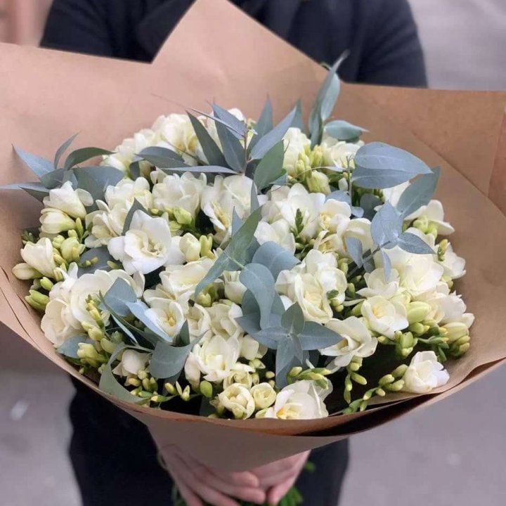 51 фрезия с эвкалиптом в Сыктывкаре