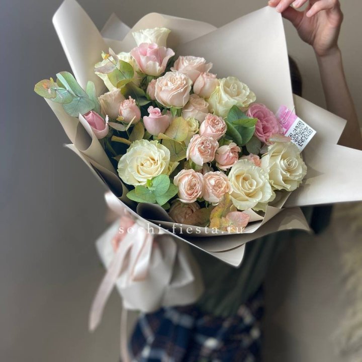 Амели в Сыктывкаре