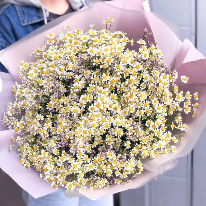 Букет ромашек №1 в Сыктывкаре