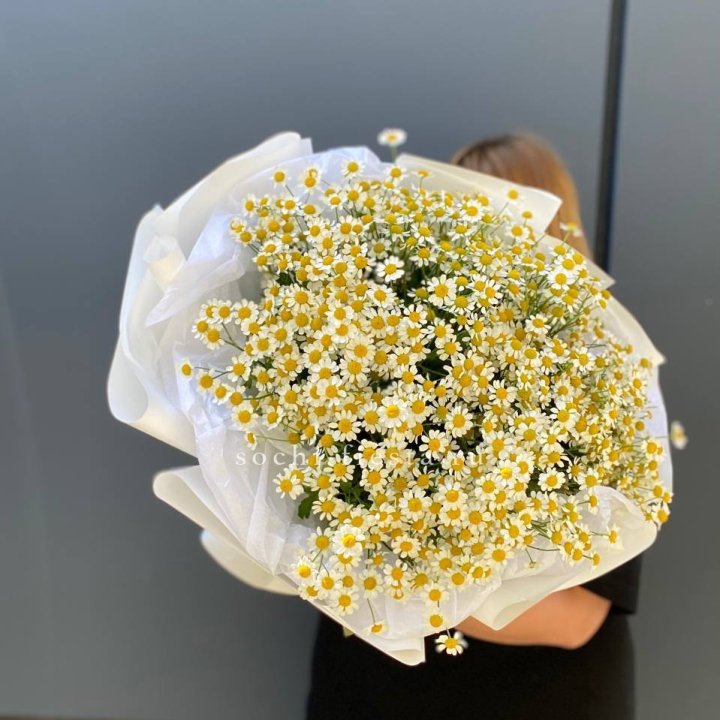 Букет ромашек "Фемели" в Сыктывкаре