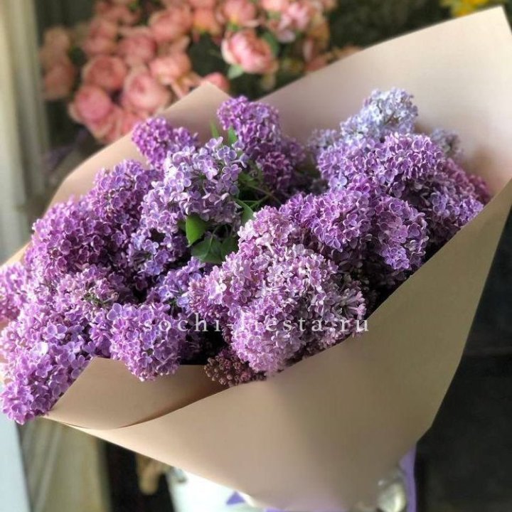 Букет сирени №2 в Сыктывкаре