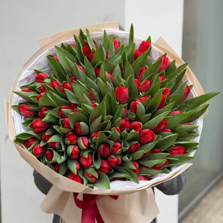 101 красный тюльпан в Сыктывкаре