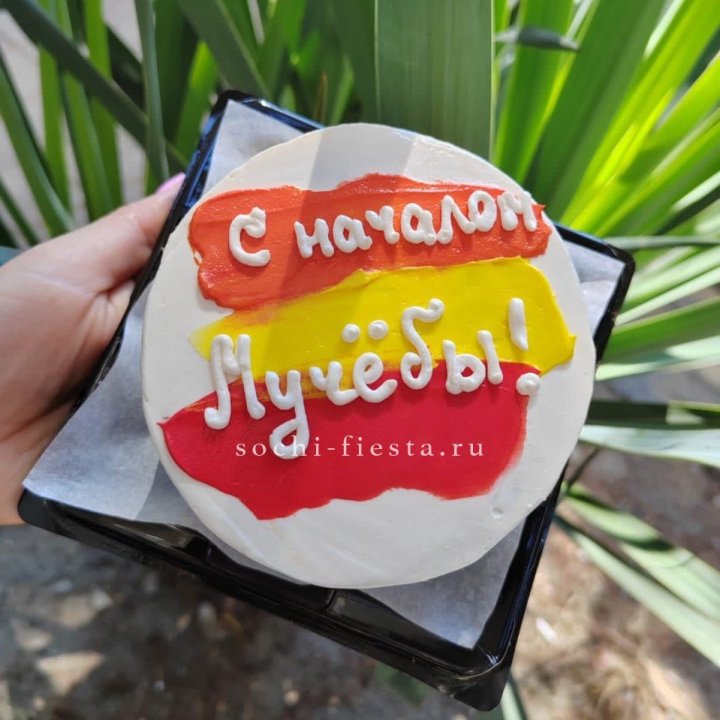 Бенто-торт "С началом учёбы"" в Сыктывкаре