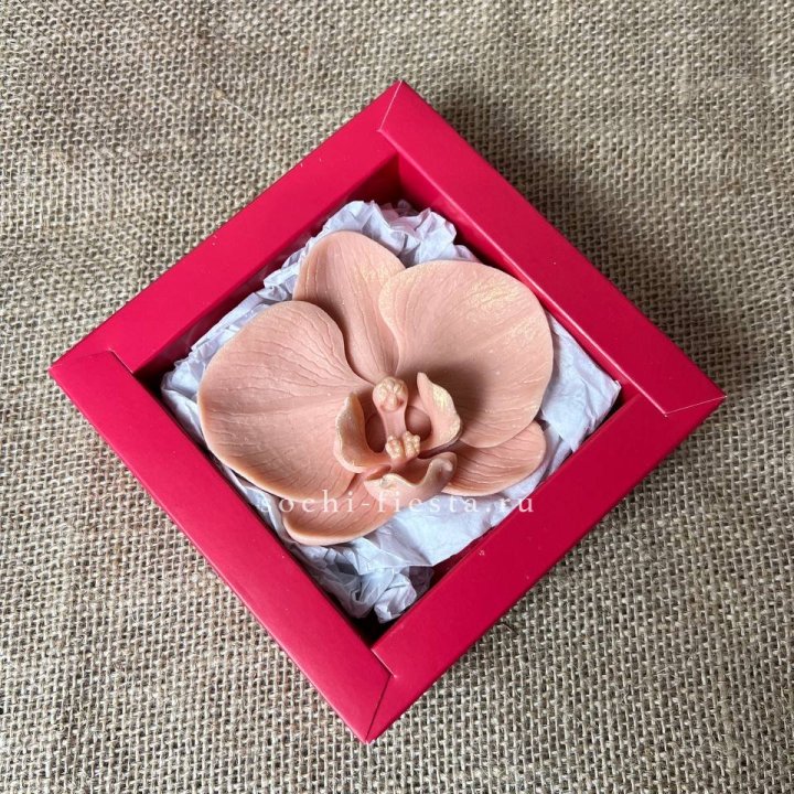 Бельгийский шоколад Орхидея в Сыктывкаре