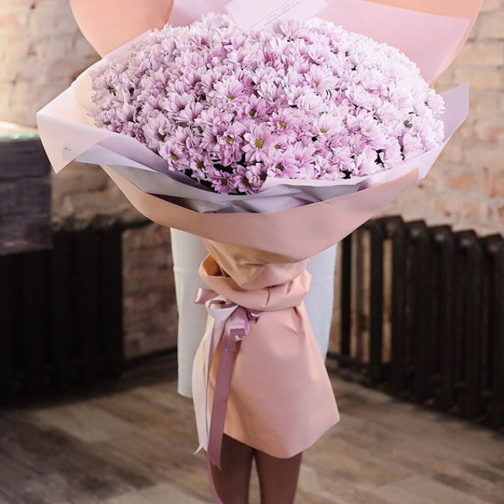 Облако хризантем №1 в Сыктывкаре