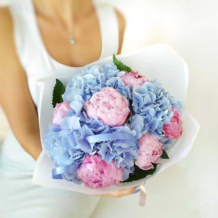 Гортензия и Пионы в Сыктывкаре