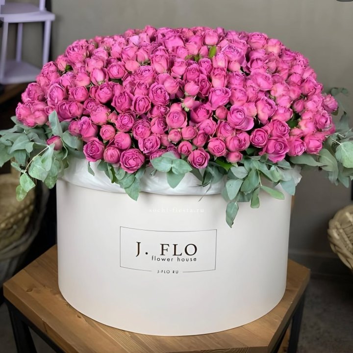 Цилиндр с Мисти Бабблс  в Сыктывкаре