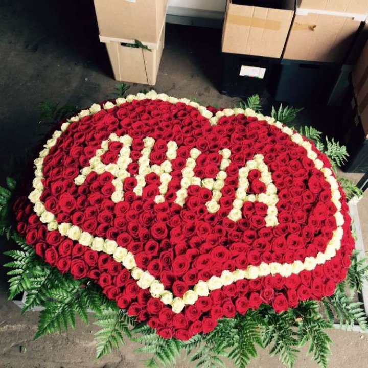 555 роз с именем в Сыктывкаре