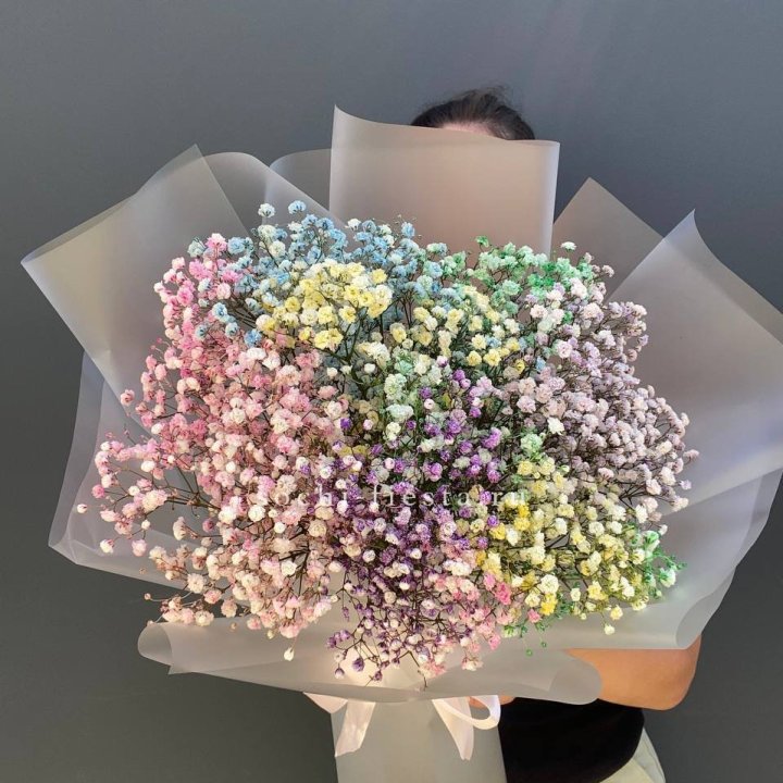 Радужные гипсофилы  в Сыктывкаре