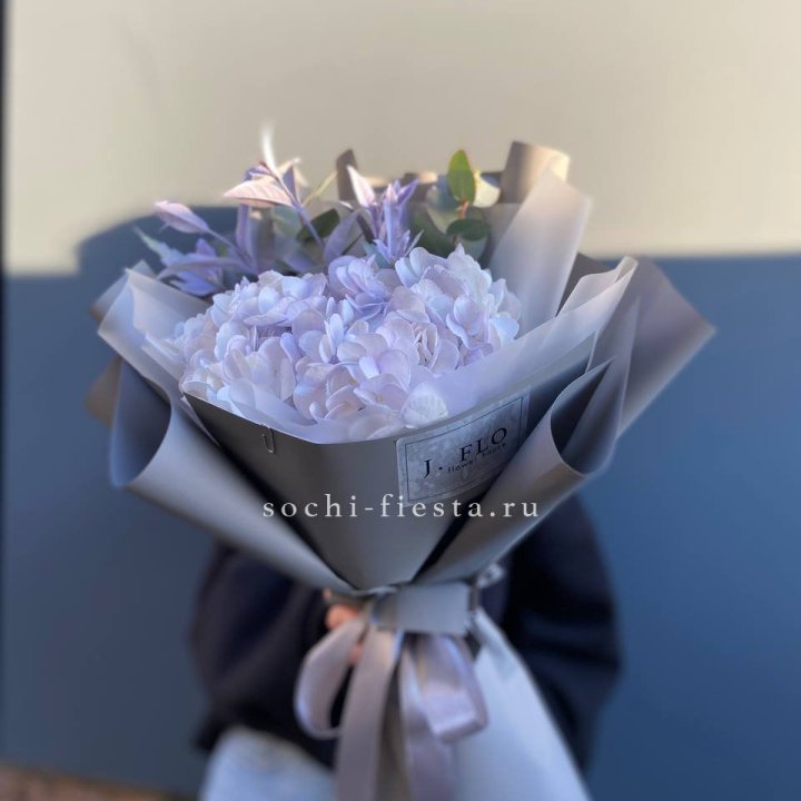 Гортензия "Виолета" в Сыктывкаре