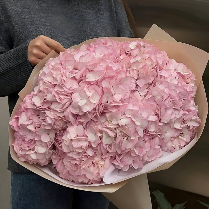 Гортензия  "РОЗЕ" в Сыктывкаре