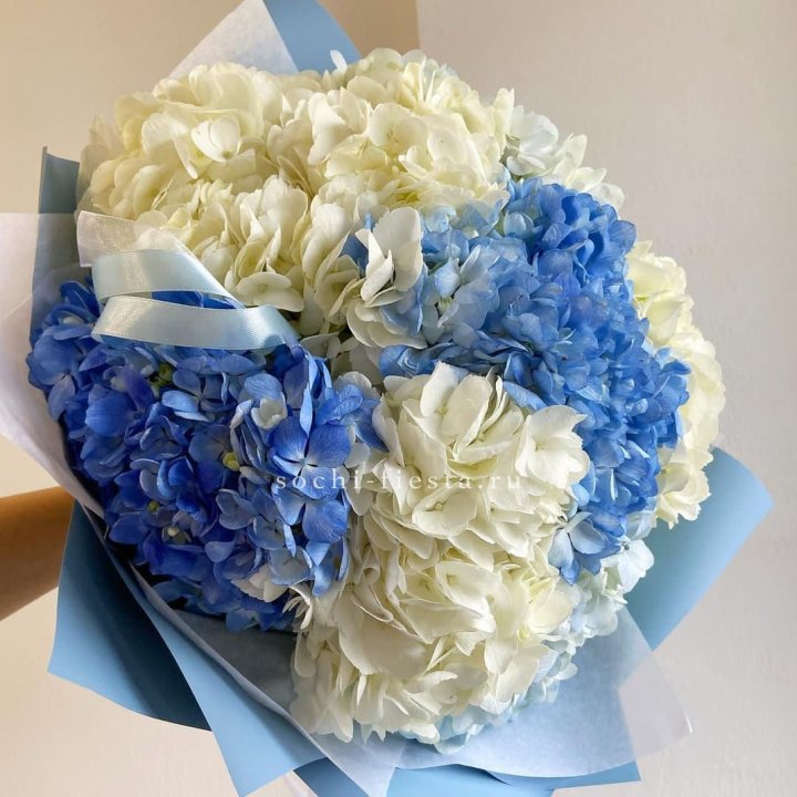 Букет гортензий "Голубая лаза" в Сыктывкаре