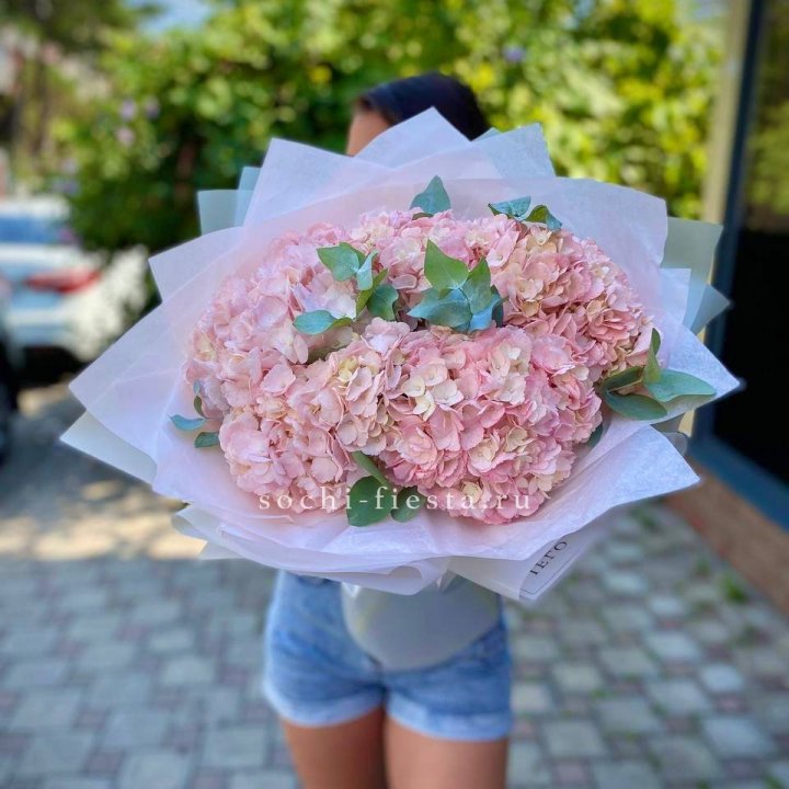 5 розовых гортензий  в Сыктывкаре