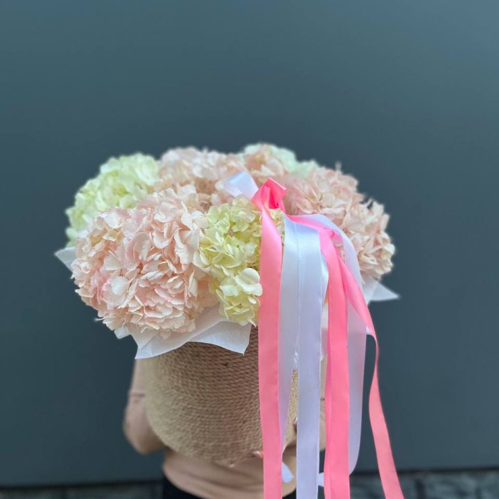 7 гортензий в кашпо в Сыктывкаре