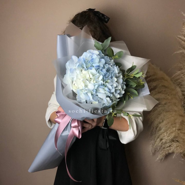 Гортензия Уно в Сыктывкаре