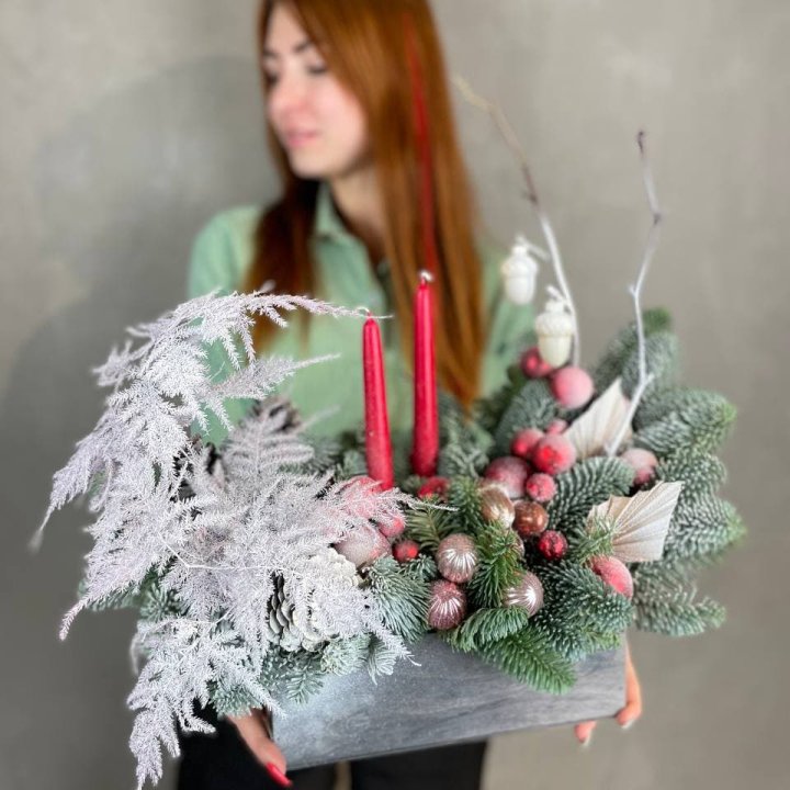 Бокс красный с нобилисом в Сыктывкаре