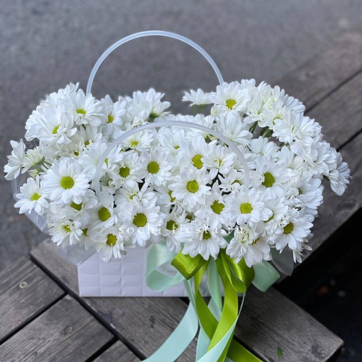 Сумка с хризантемами ромашками в Сыктывкаре