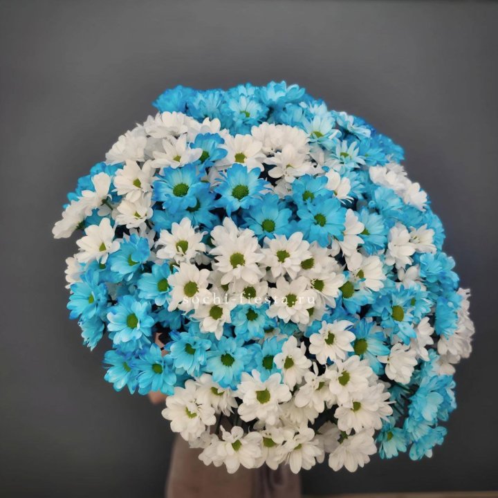  Букет хризантем микс в Сыктывкаре