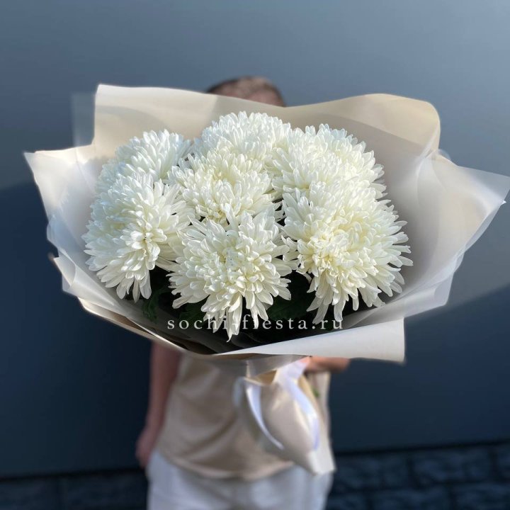 Профитроли в Сыктывкаре