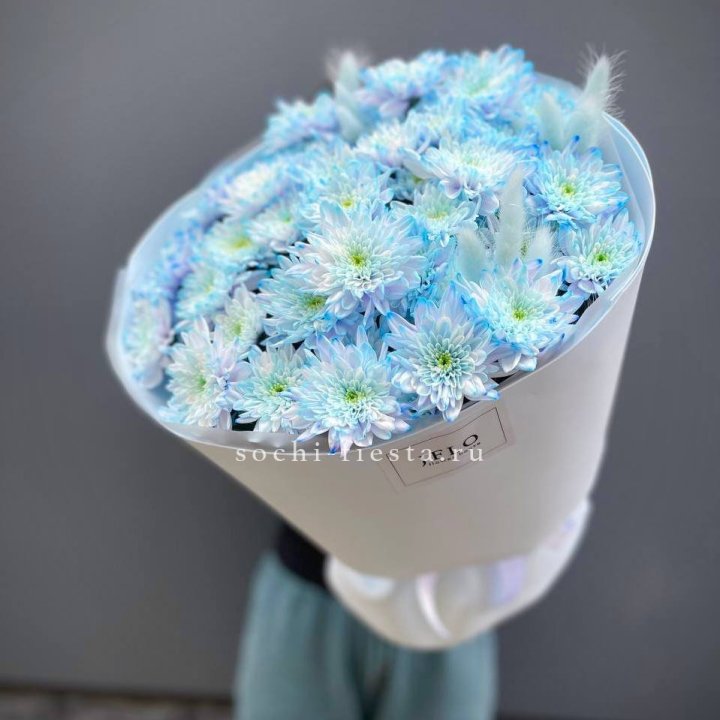  Букет нежно-голубых хризантем  в Сыктывкаре