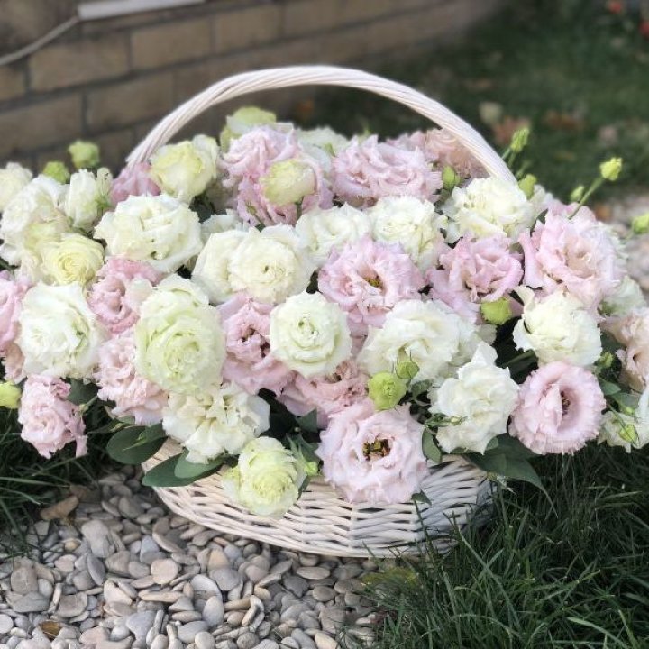 Корзина с эустомой в Сыктывкаре