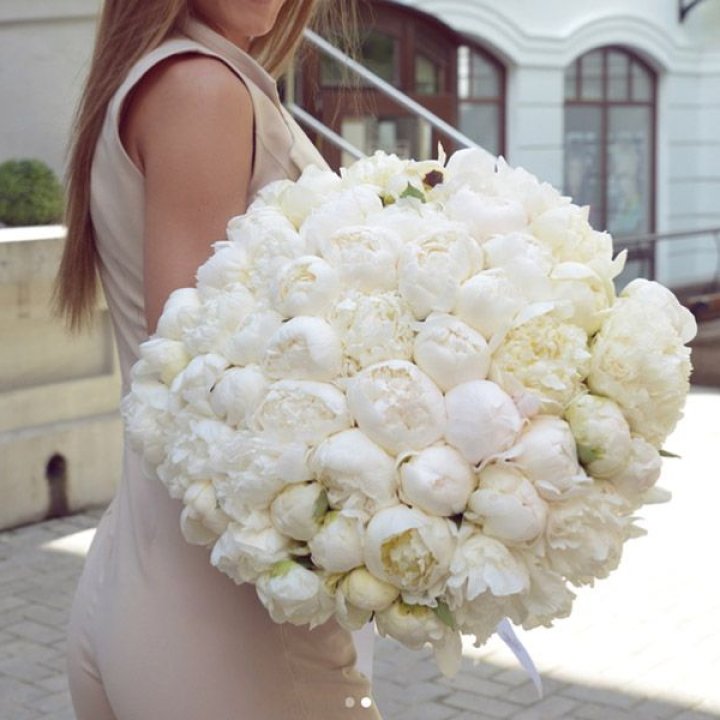 51 белый пион в Сыктывкаре