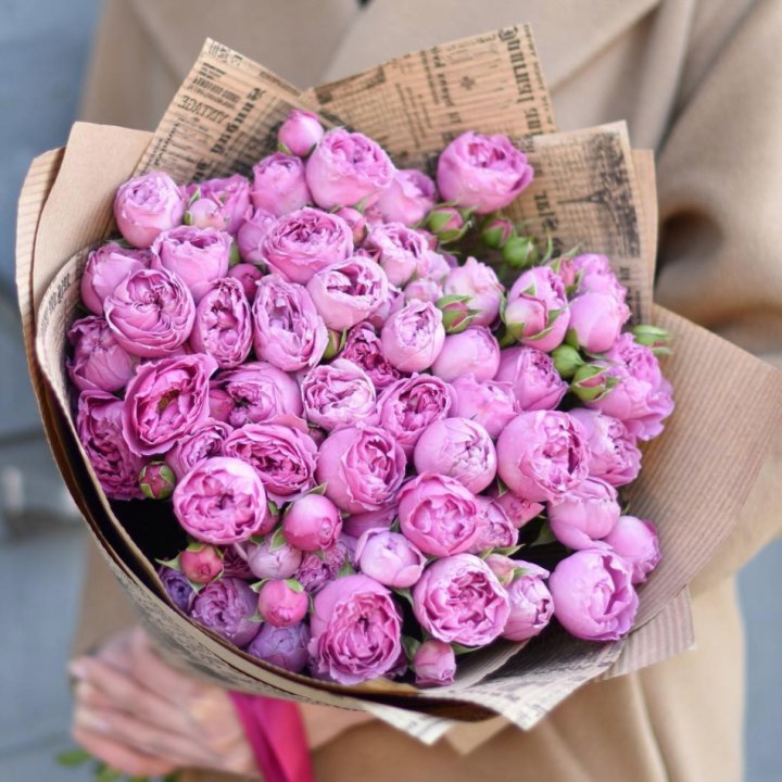 Роза Мисти Баблс в Сыктывкаре