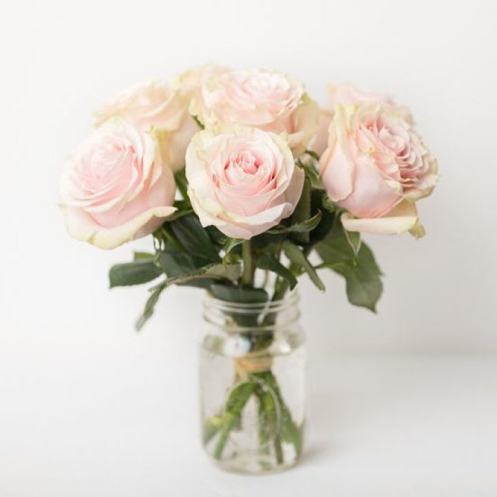 7 кремовых роз в Сыктывкаре